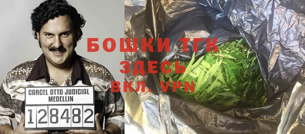 гашик Весьегонск