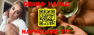 mdpv Гатчина