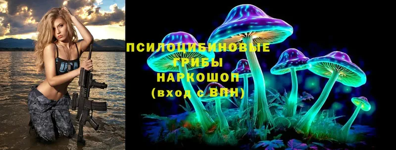 Псилоцибиновые грибы MAGIC MUSHROOMS  blacksprut зеркало  Амурск 