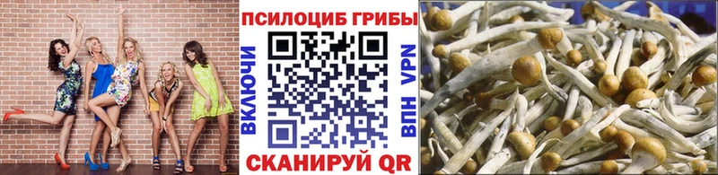 Галлюциногенные грибы Psilocybine cubensis  Амурск 