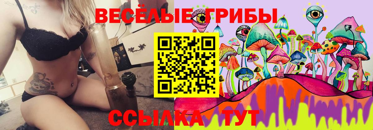 Псилоцибиновые грибы Magic Shrooms Амурск