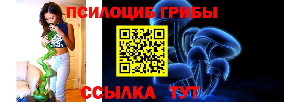 Амурск  Псилоцибиновые грибы Psilocybine cubensis  Галлюциногенные грибы GOLDEN TEACHER  Вход с VPN 